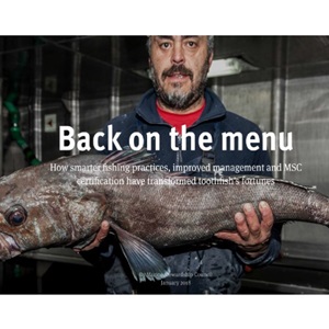 The Patagonian Toothfish Story