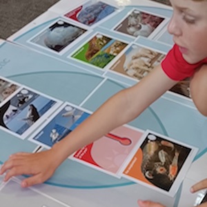 Classroom activities (indoors and out)