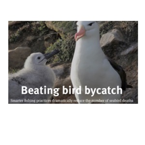 Antarctic fishing stories - Beating bird bycatch