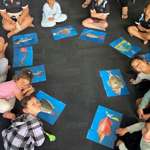 Hands on learning resources