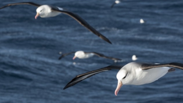 Fischerei & Biodiversität