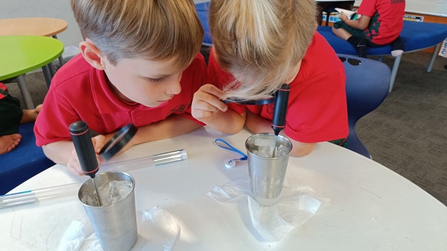 What do you think teachers most like about your kits?