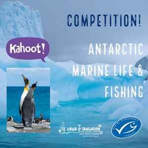 Kahoot! Competition for NZ Educators! (Closes 20 Dec 2023)