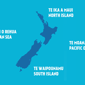 Resources to support local curriculum contexts