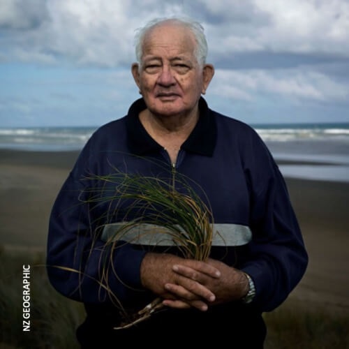 Te Kaitiaki Toheroa - Northland Toheroa and Kaitiakitanga