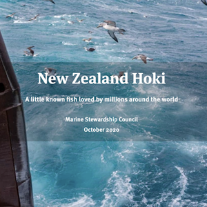 New Zealand Hoki Story