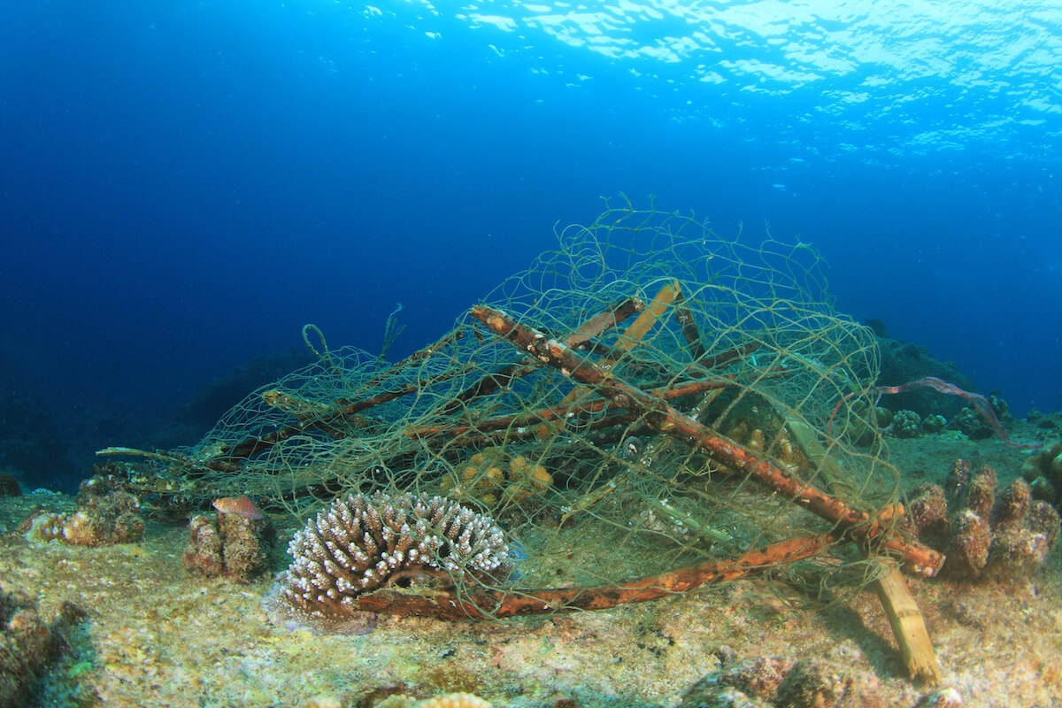 Ghost fishing