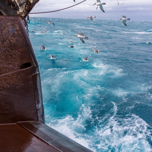 What it’s like to Work as a Deepwater Commercial Fishing Skipper