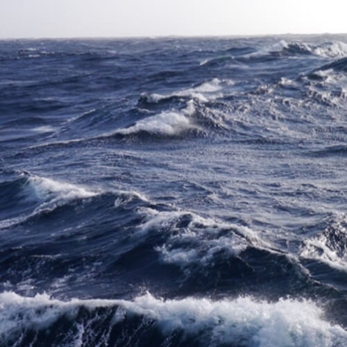 What it’s like to Work as an Inshore Commercial Fishing Skipper