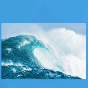 Take the Seaweek Quiz