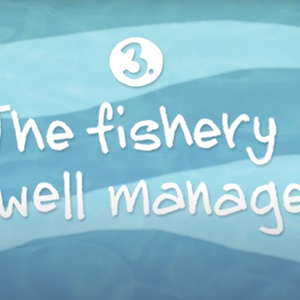 MSC Fisheries Standard Principle 3. Fish stocks are managed well