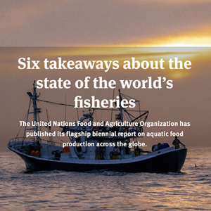 Six takeaways about the state of the world’s fisheries