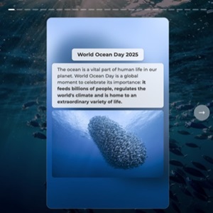 Ocean Quiz