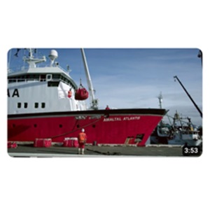 World leading - NZ fisheries leading the way