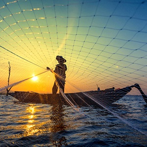 1,7 millions d’euros pour renforcer la pêche durable