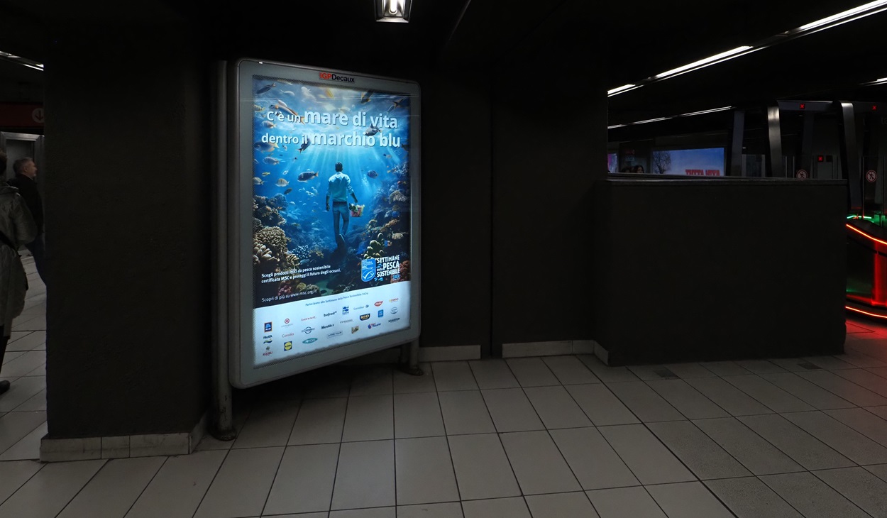 c'è un mare di vita