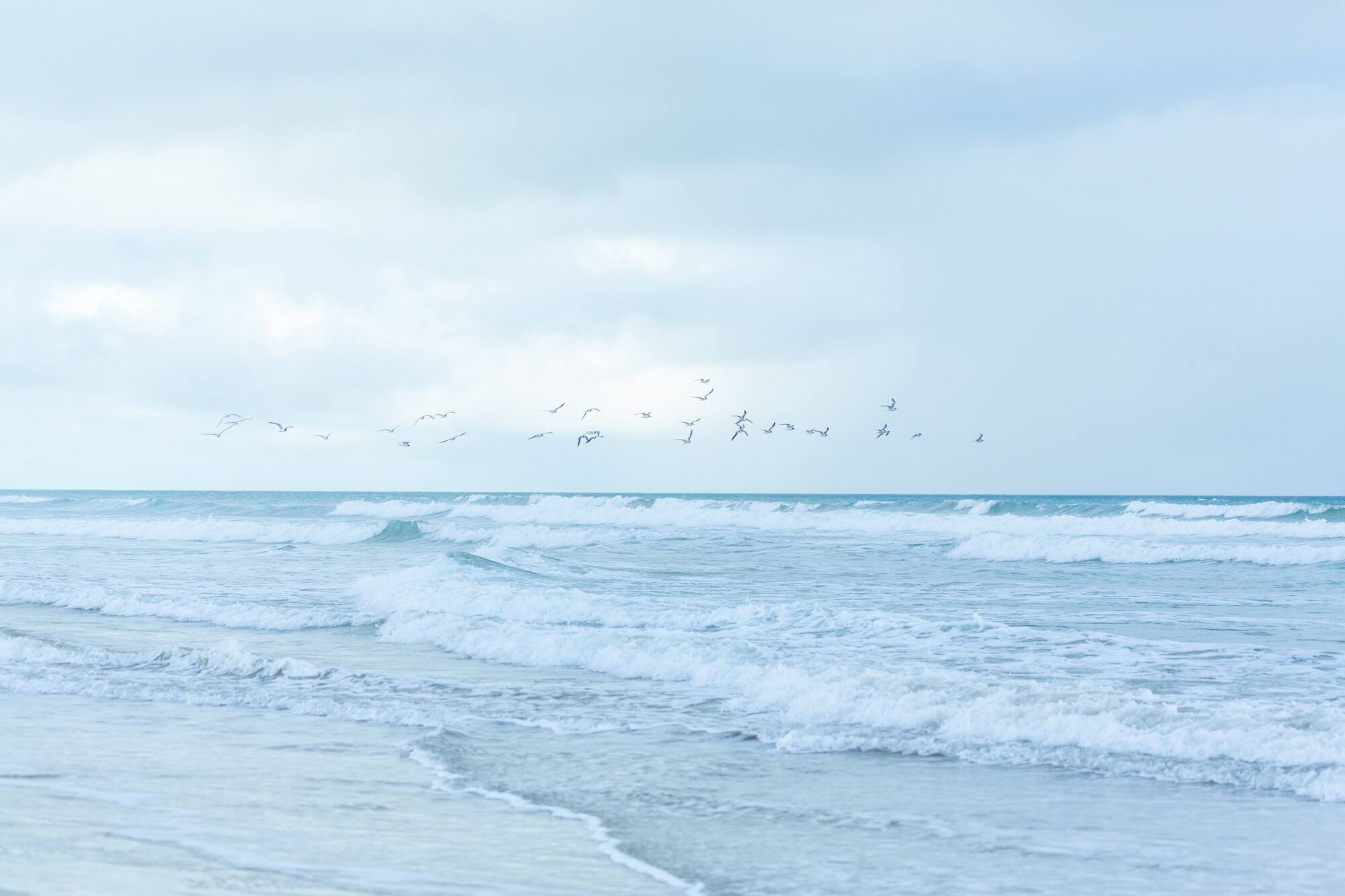 A soft blue image of the surf on the beach with seabirds flying in the background