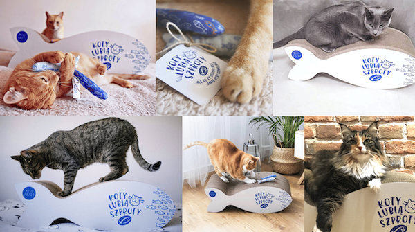 Zobacz, co robiliśmy w poprzednich latach