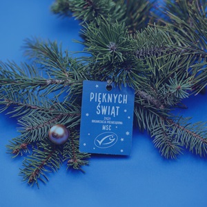 ŚWIĘTA Z MSC 2024 - podsumowanie kampanii