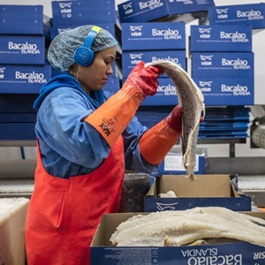 Varför MSC-certifiera ert företag?