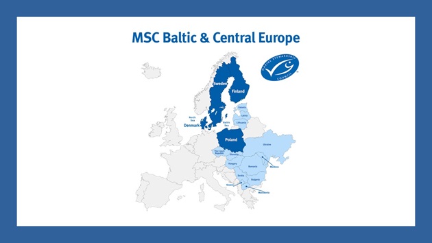 Zespoły MSC z Polski, Szwecji, Danii i Finlandii łączą siły