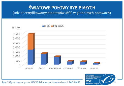 Biale-ryby-rys-2 Biale-ryby-rys-2