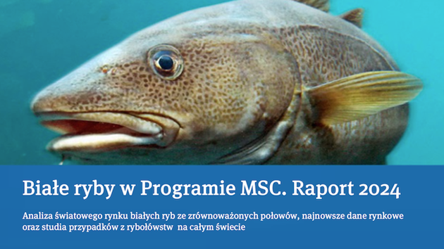 Raport o białych rybach 2024
