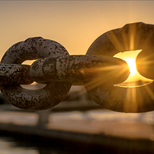 Ankieta dotycząca opinii na temat Standardu Łańcucha Dostaw MSC