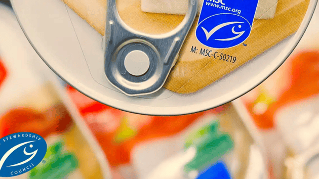 The Blue Tick and the Green Deal: What’s Next for MSC Claims in the EU?