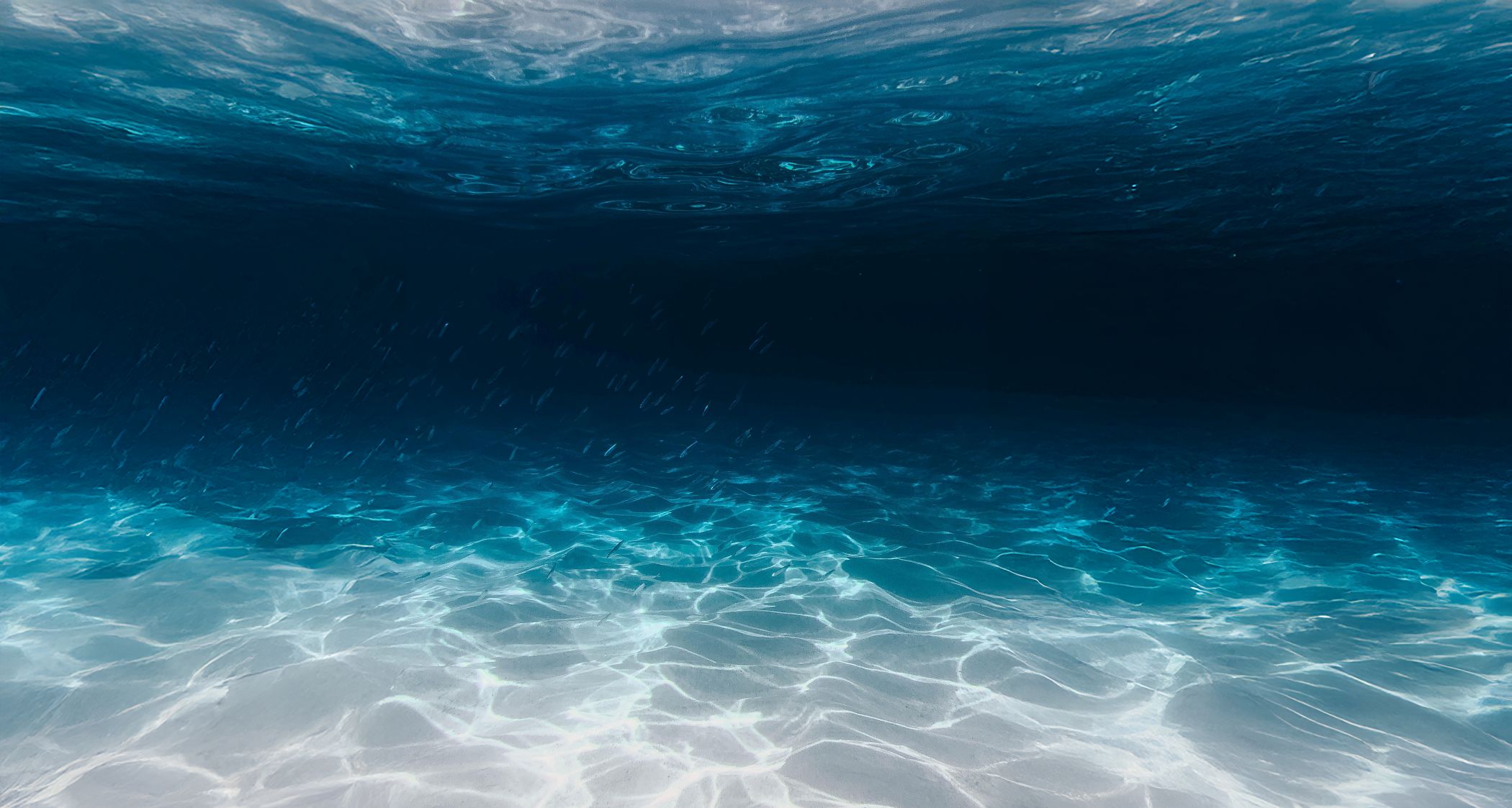 Udtalelse fra Rupert Howes om ratificeringen af Traktaten om det åbne hav