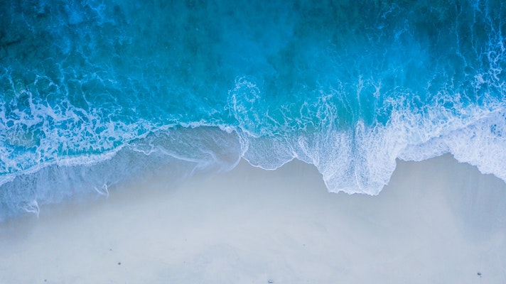 Five things you can do this Sustainable Seafood Week