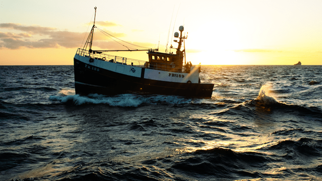 Zrównoważone połowy w Szkocji: Rybołówstwo przyszłości