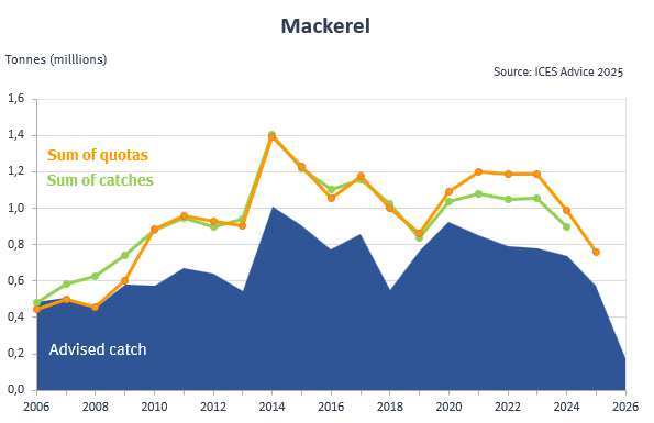 wykres makreli dashboard Makrela