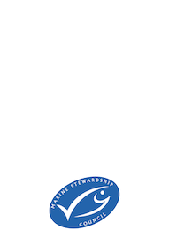 10-lat-MSC-w-Polsce-2013-2023