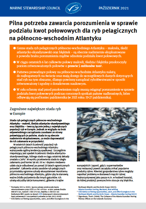 Grafika dokumentu MSC na temat statusu połowów ryb pelagucznych na północno-wschodnim Atlantyku
