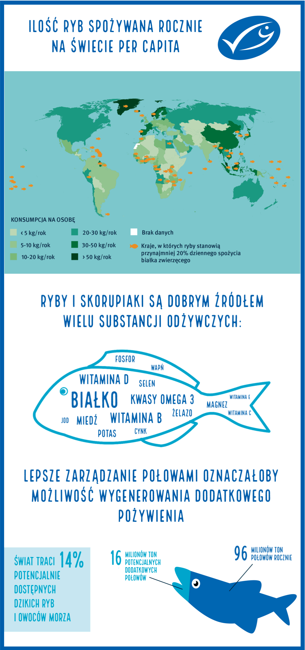 Grafika-MSC-styczen-2021