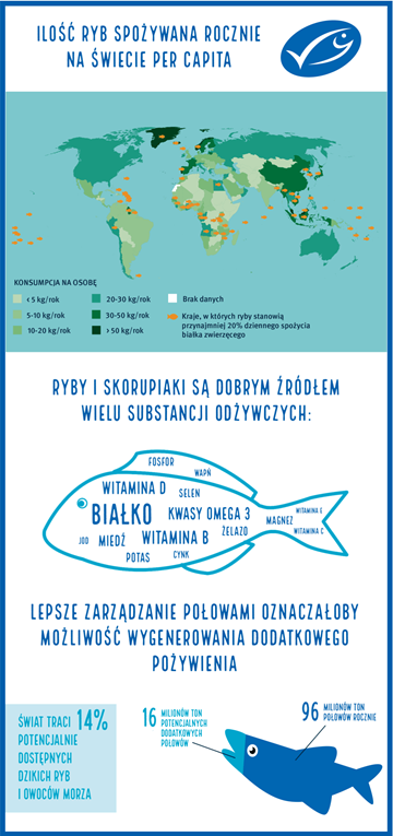 Grafika-MSC-styczen-2021 Grafika-MSC-styczen-2021