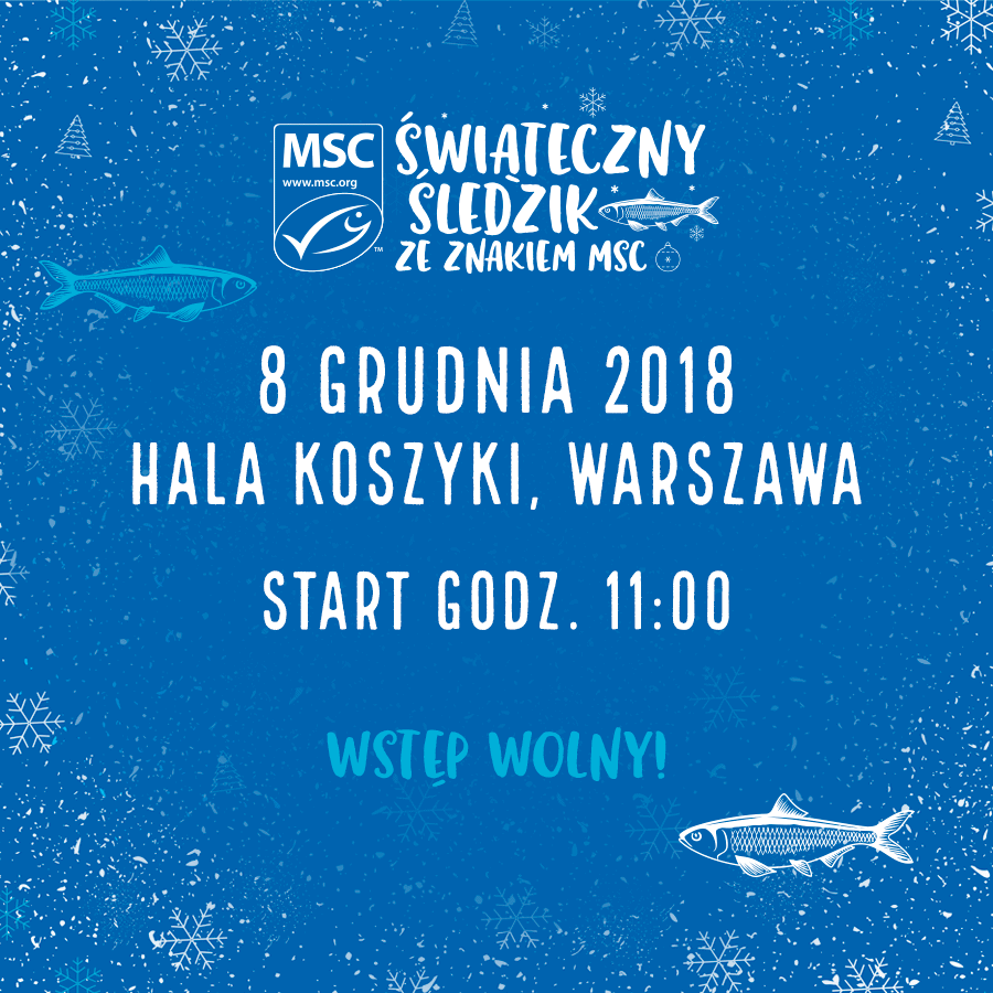 GRAFIKA-sledzik-MSC-8-grudnia