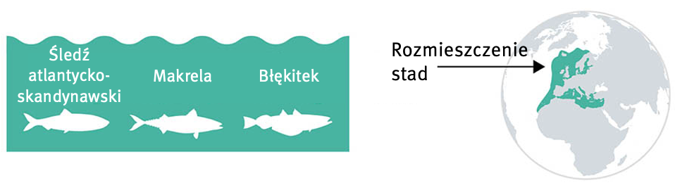 Herring-mackerel-blue-whiting-globe-PL