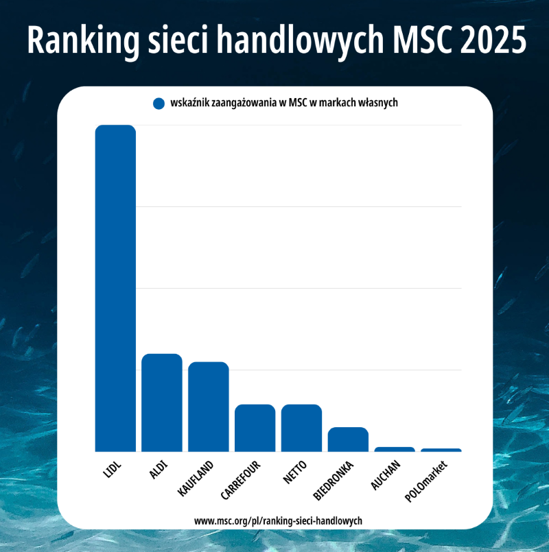 dashboard retail ranking pl 2025
