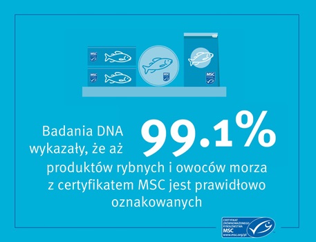 MSC-grafika1-badanie-DNA