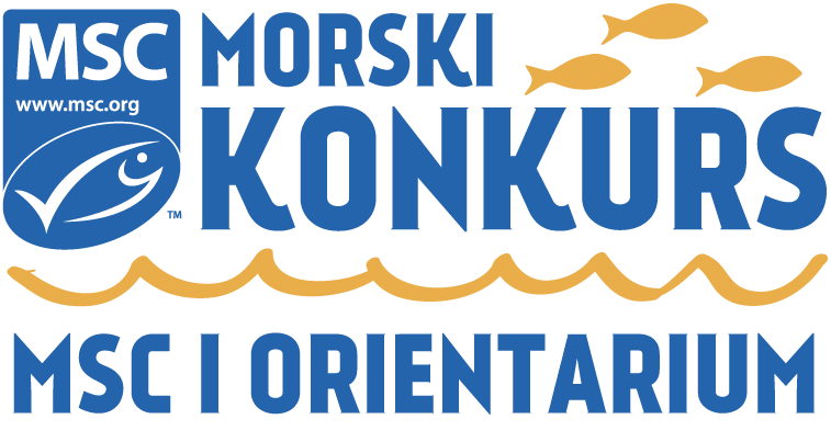 msc logo-morski konkurs wrzes 2022
