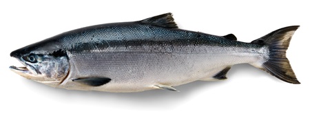 Łosoś nerka - Alaska Seafood Marketing Institute