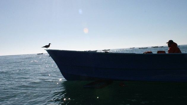 Rosnąca fala: rybołówstwa małoskalowe w programie MSC