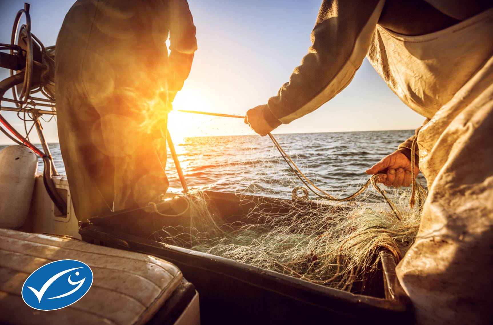 Raport-SOFIA-2020-zdjecie