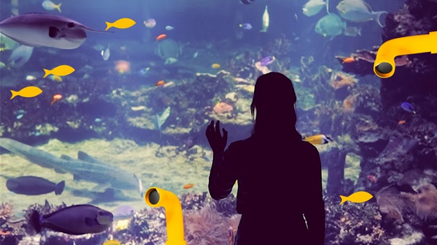 Skorzystaj z materiałów edukacyjnych MSC