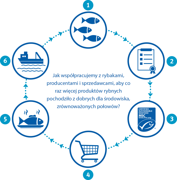 rs7052_rs7052_theoryofchange_infographic_numbers_polish