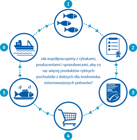 rs7052_rs7052_theoryofchange_infographic_numbers_polish rs7052_rs7052_theoryofchange_infographic_numbers_polish