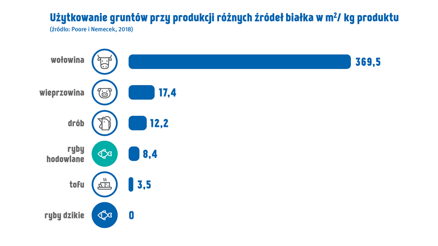 Uzycie gruntow Uzycie gruntow