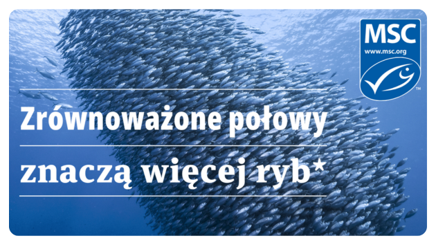 Światowy Dzień Oceanów